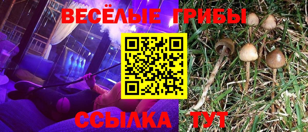 Балахна  купить наркотик  Вход с VPN  Галлюциногенные грибы MAGIC MUSHROOMS 